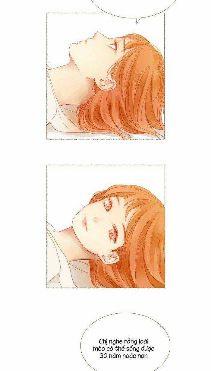 Little Rain - Chapter 14 - Trang 42