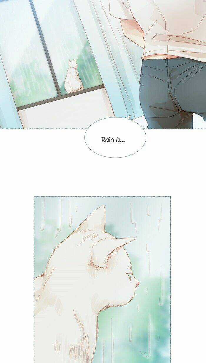 Little Rain - Chapter 15 - Trang 21