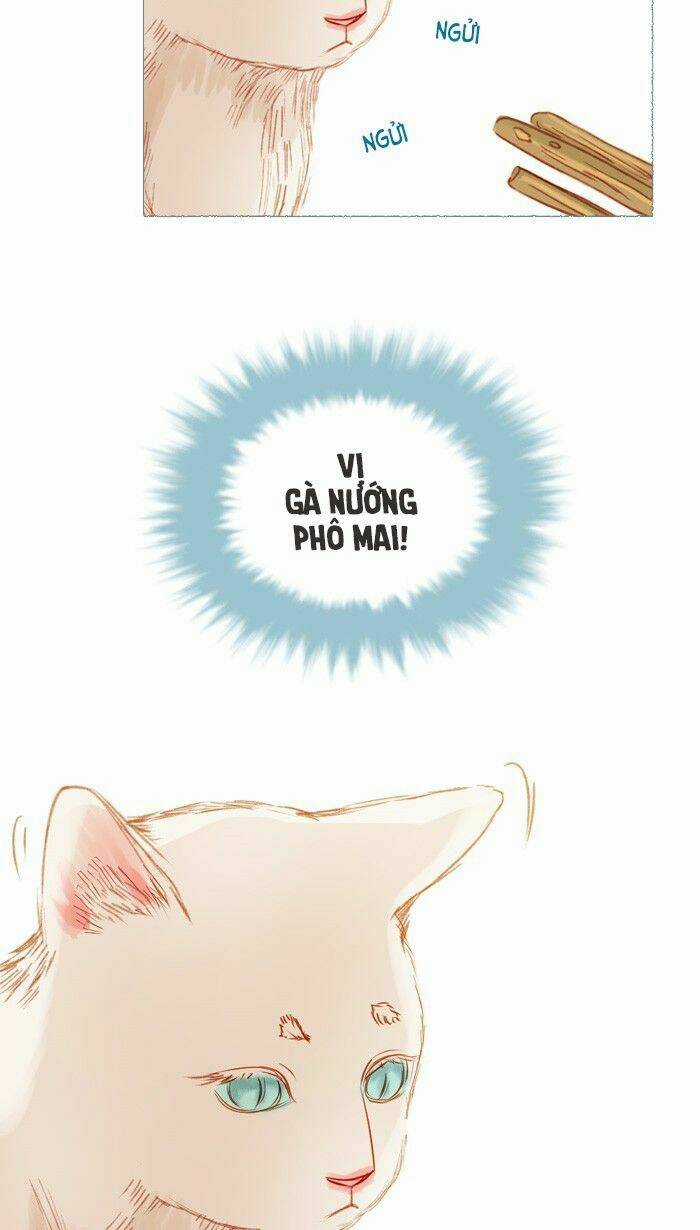 Little Rain - Chapter 17 - Trang 8