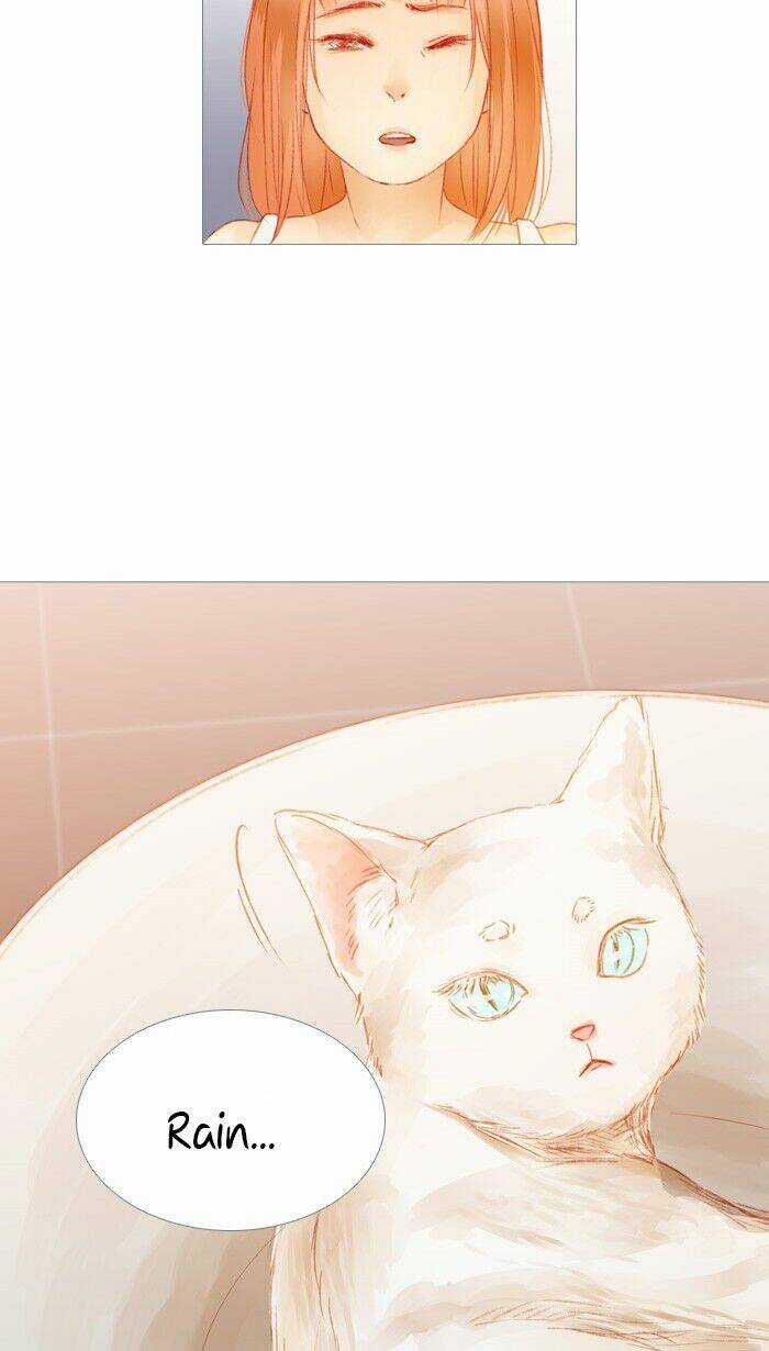 Little Rain - Chapter 22 - Trang 15