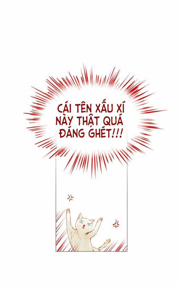 Little Rain - Chapter 4 - Trang 14