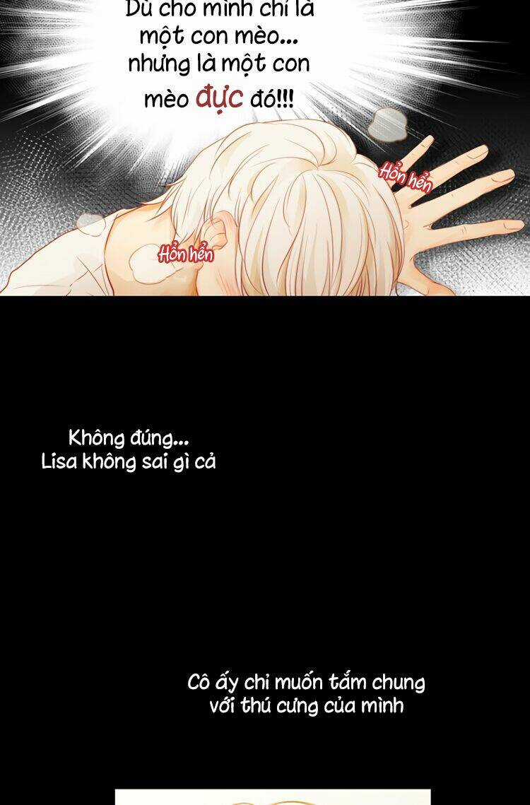 Little Rain - Chapter 7 - Trang 7