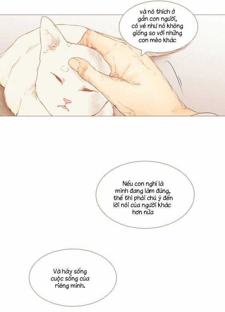 Little Rain - Chapter 8 - Trang 12