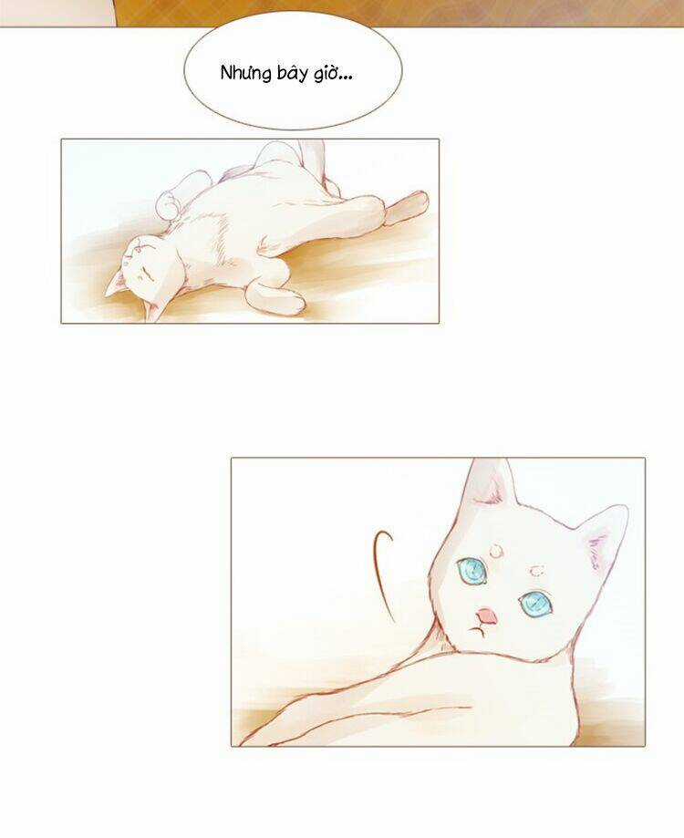 Little Rain - Chapter 8 - Trang 17