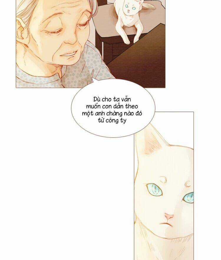 Little Rain - Chapter 8 - Trang 9