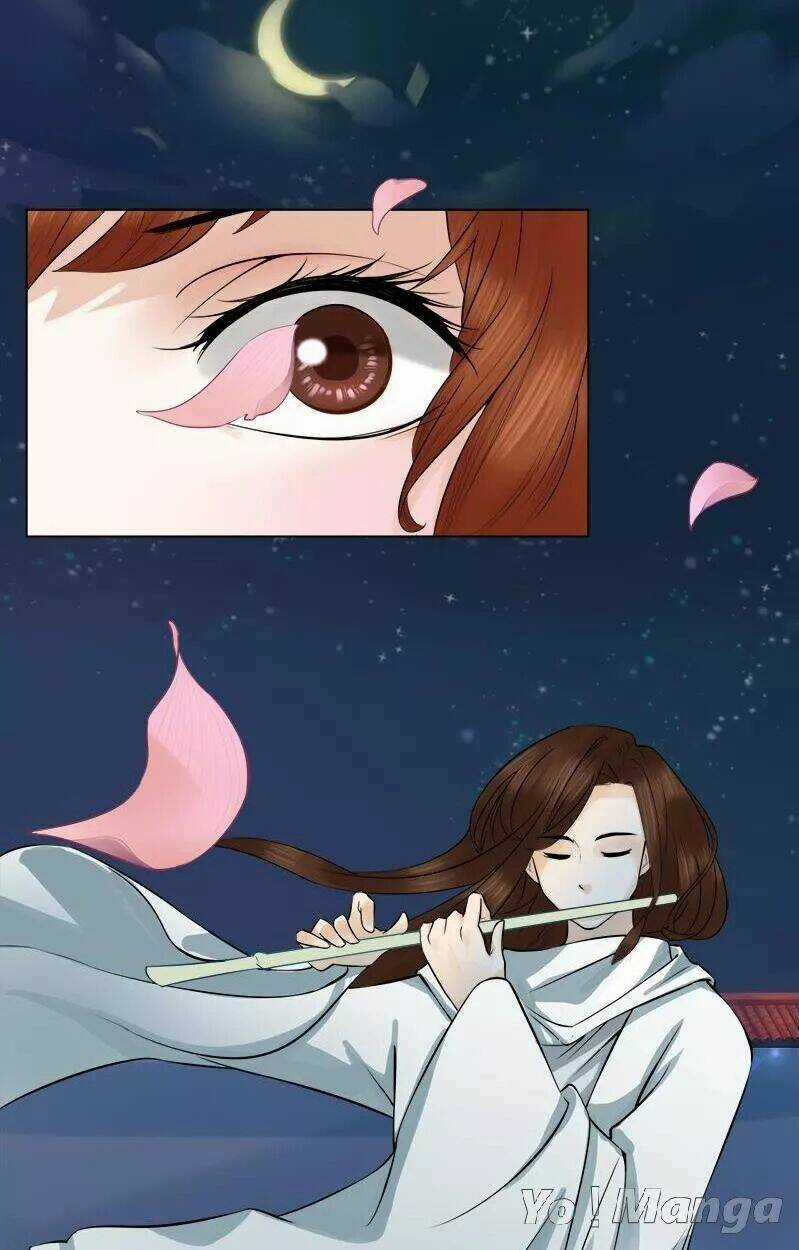 Loạn Thế Hoạ Phi - Chapter 27 - Trang 5