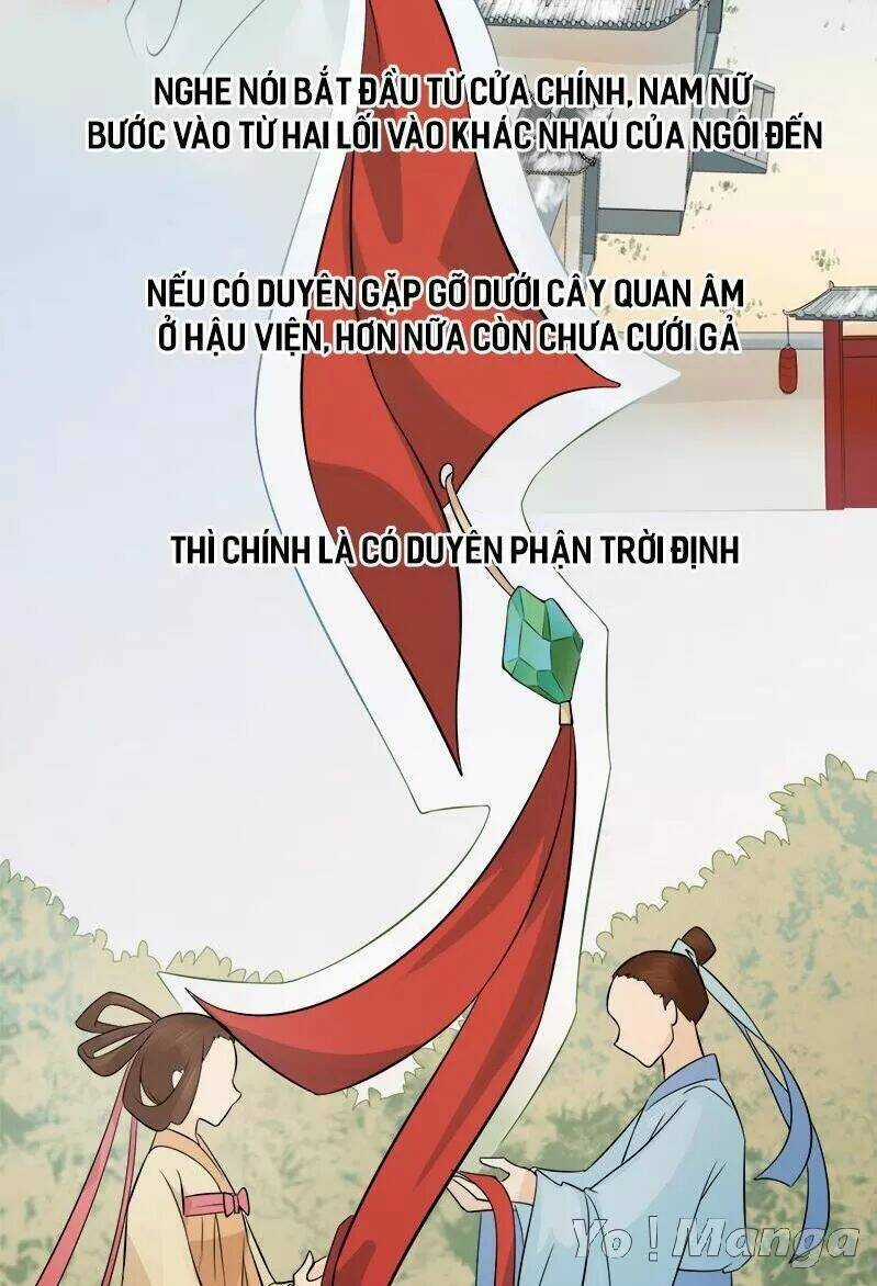 Loạn Thế Hoạ Phi - Chapter 28 - Trang 8