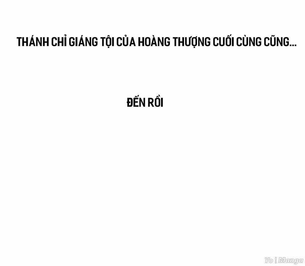 Loạn Thế Hoạ Phi - Chapter 8 - Trang 26