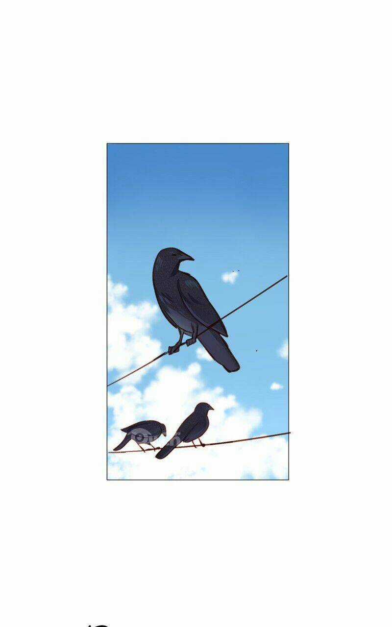 Lời Nguyền Lalin - Chapter 15 - Trang 3