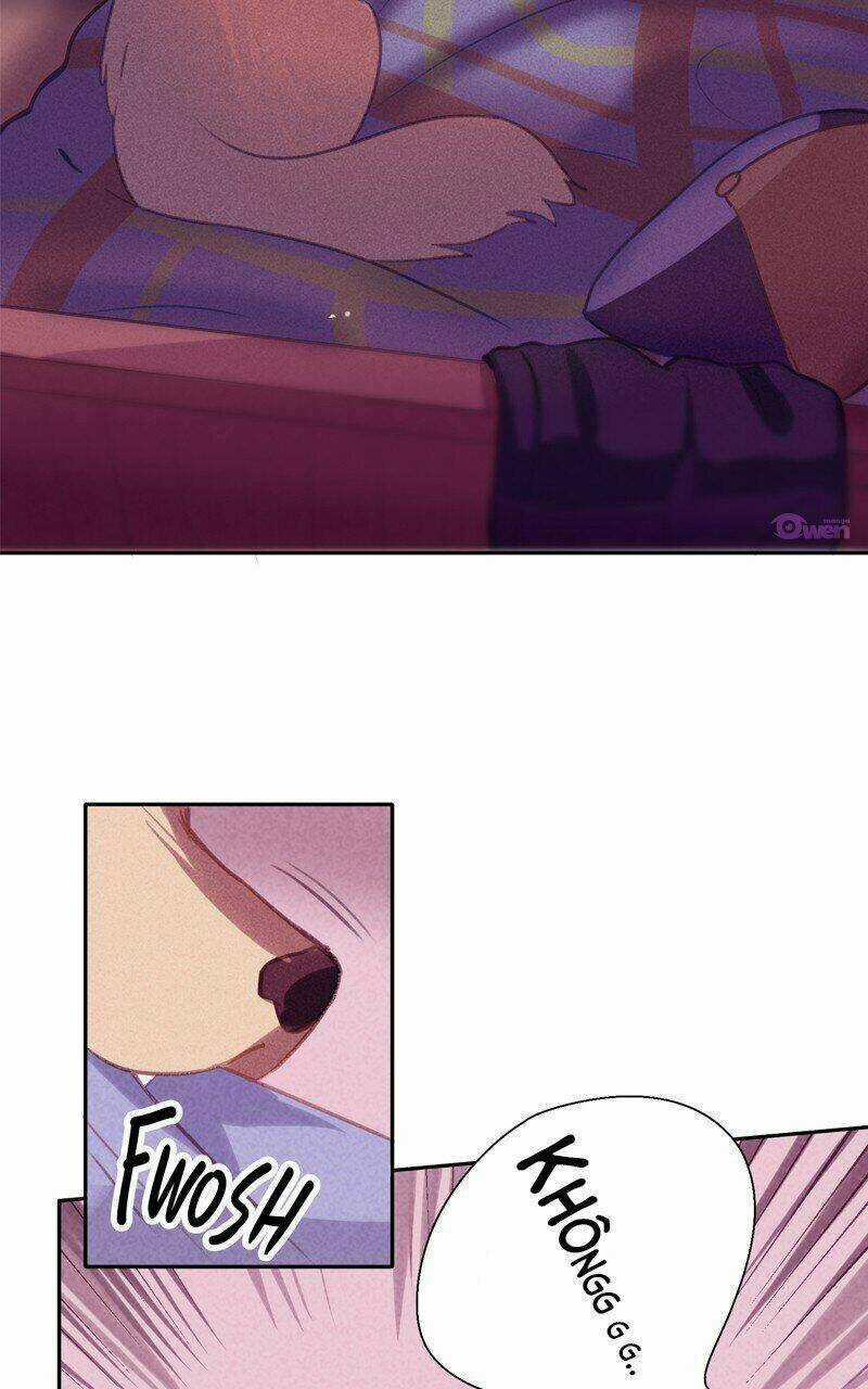 Lời Nguyền Lalin - Chapter 2 - Trang 9