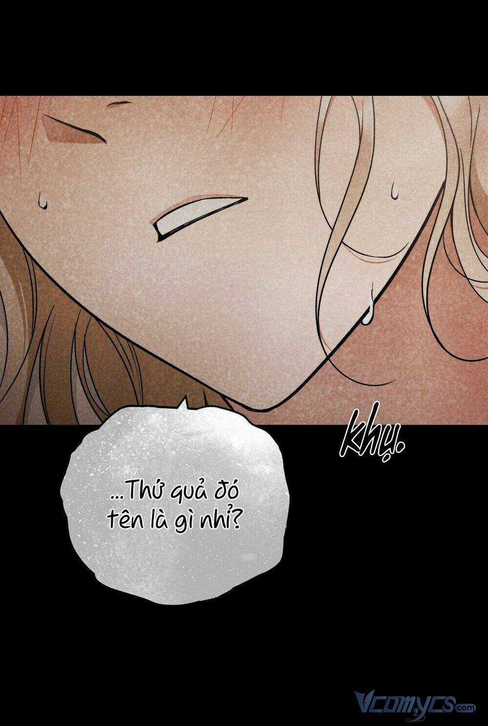 Lời Nói Dối Vĩnh Cửu - Chapter 18 - Trang 15