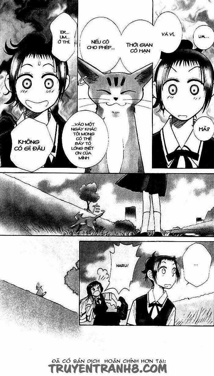 Lời Thì Thầm Từ Trái Tim - Chapter 6 - Trang 15