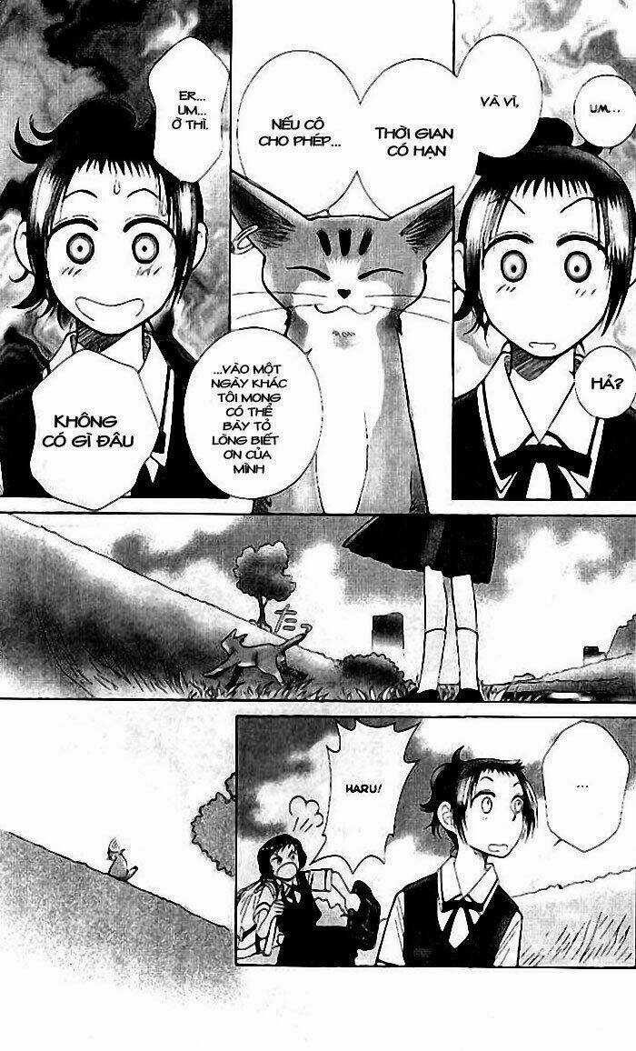 Lời Thì Thầm Từ Trái Tim - Chapter 7 - Trang 15