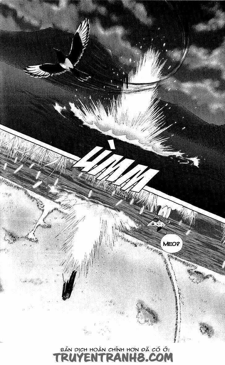 Lời Thì Thầm Từ Trái Tim - Chapter 8 - Trang 29