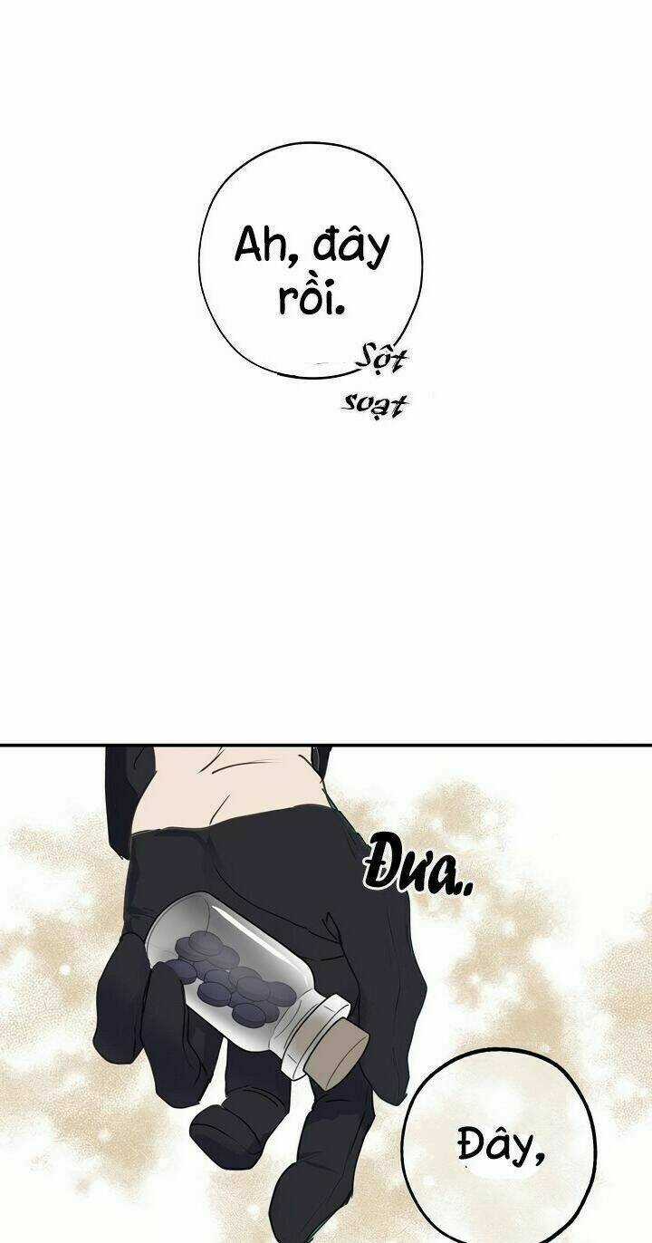 Lời Thú Nhận Nhầm Lẫn - Chapter 29 - Trang 36