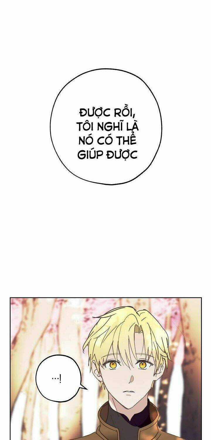 Lời Thú Nhận Nhầm Lẫn - Chapter 36 - Trang 15