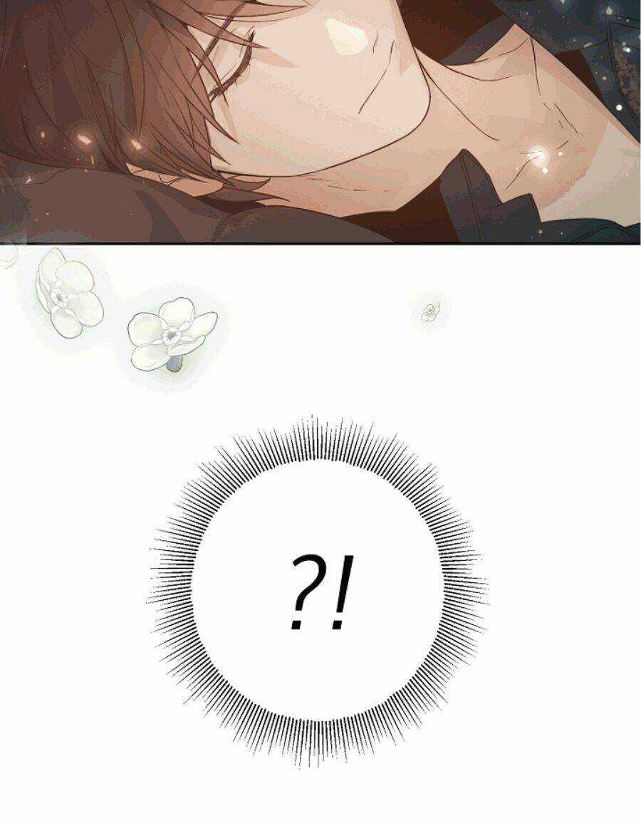 Lời Thú Nhận Nhầm Lẫn - Chapter 51 - Trang 26