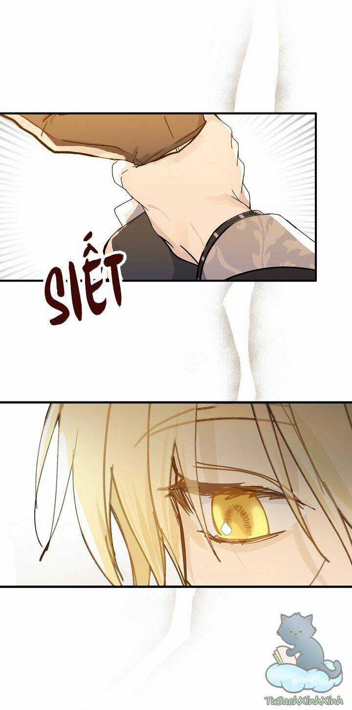 Lời Thú Nhận Nhầm Lẫn - Chapter 54 - Trang 22