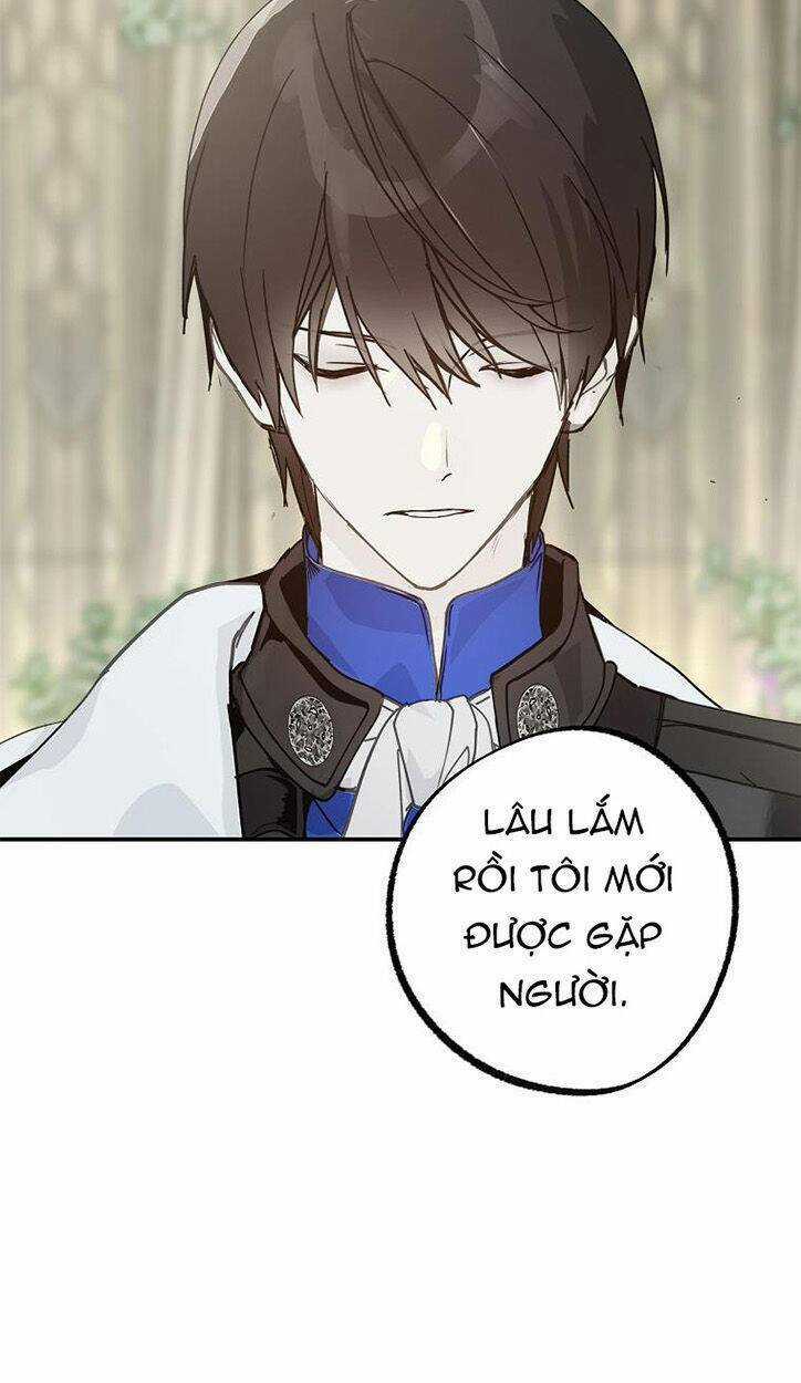 Lời Thú Nhận Nhầm Lẫn - Chapter 63 - Trang 5