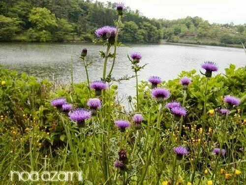 Lone Wolf And Cub - Chapter 82 - Trang 61