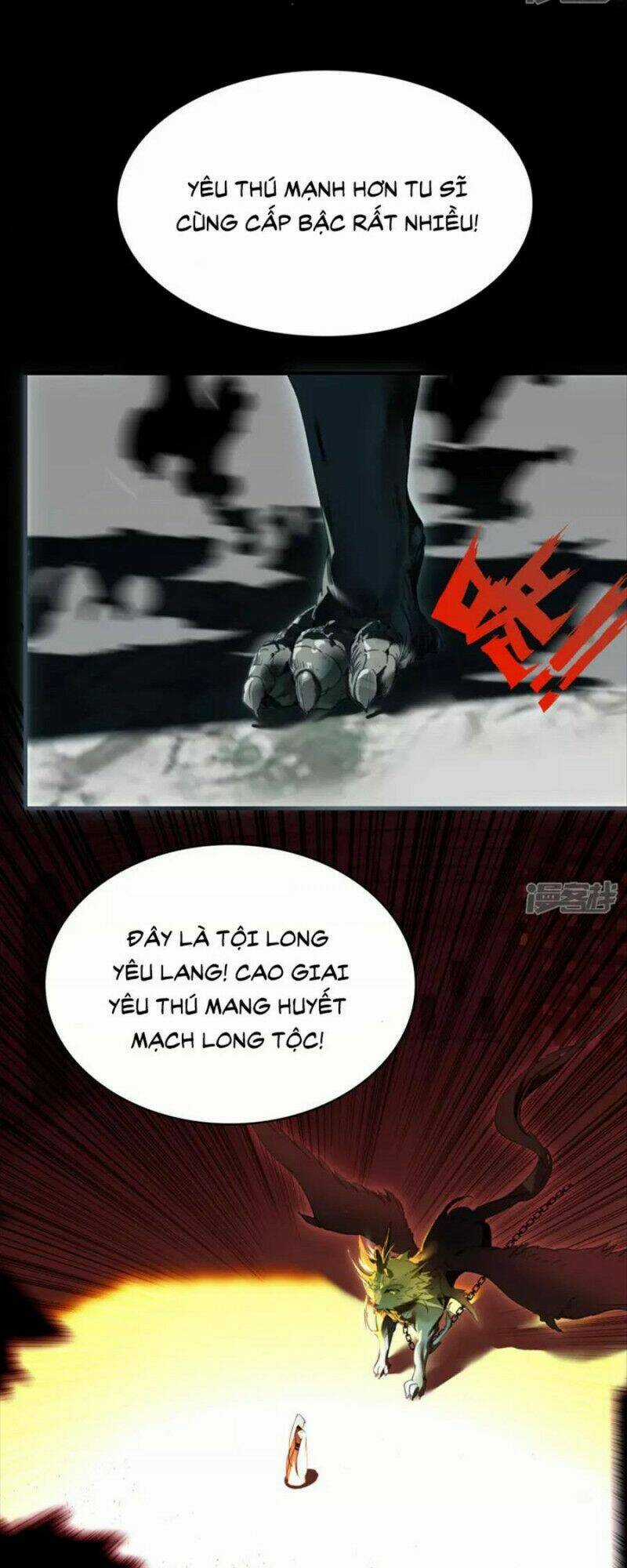 Long Hồn Chiến Tôn - Chapter 13 - Trang 13