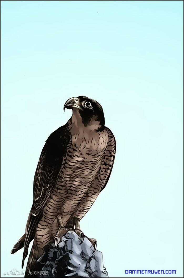 Long Phi Bất Bại Phần 2 - Chapter 14 - Trang 19