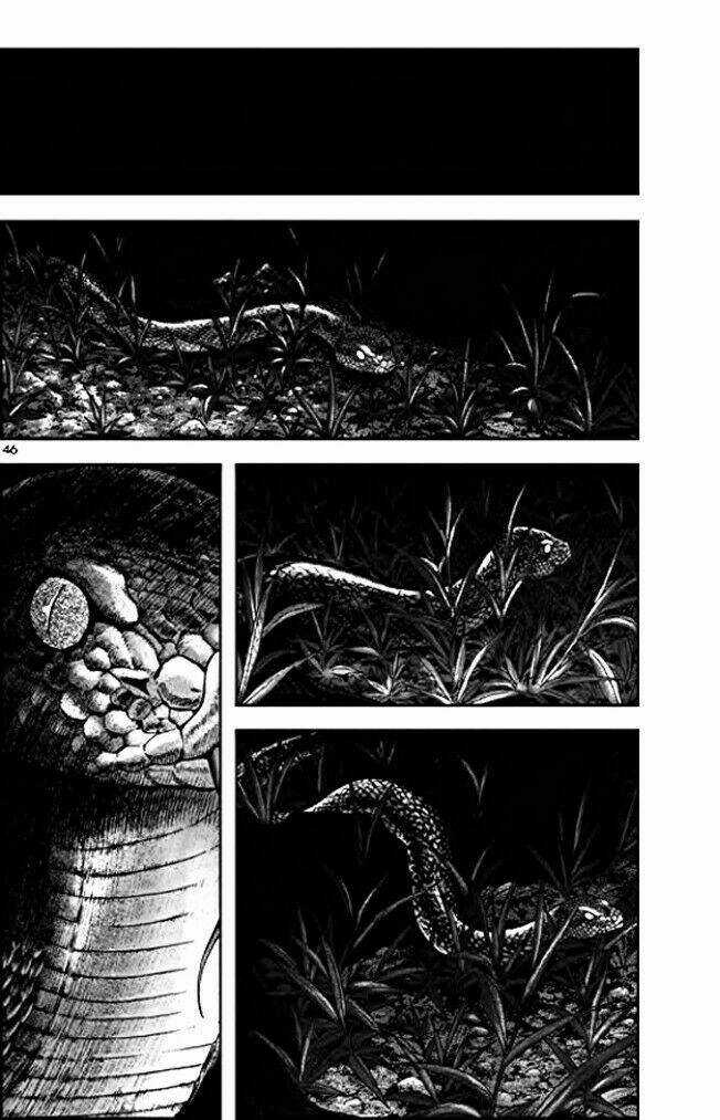 Long Phi Bất Bại Phần 2 - Chapter 8 - Trang 16