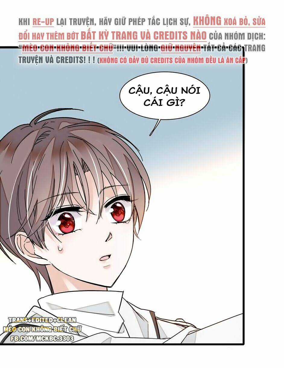 Long Phượng Phiên Chuyển - Chapter 21 - Trang 4