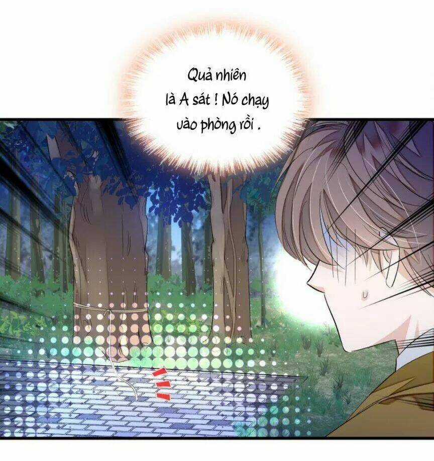 Long Phượng Phiên Chuyển - Chapter 63 - Trang 3