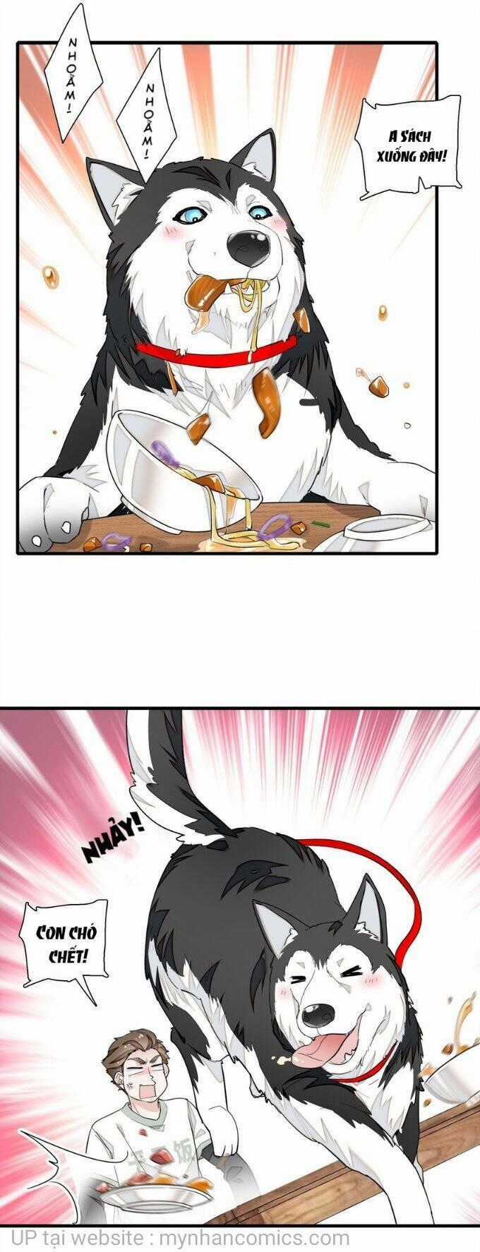 Long Phượng Phiên Chuyển - Chapter 66 - Trang 2