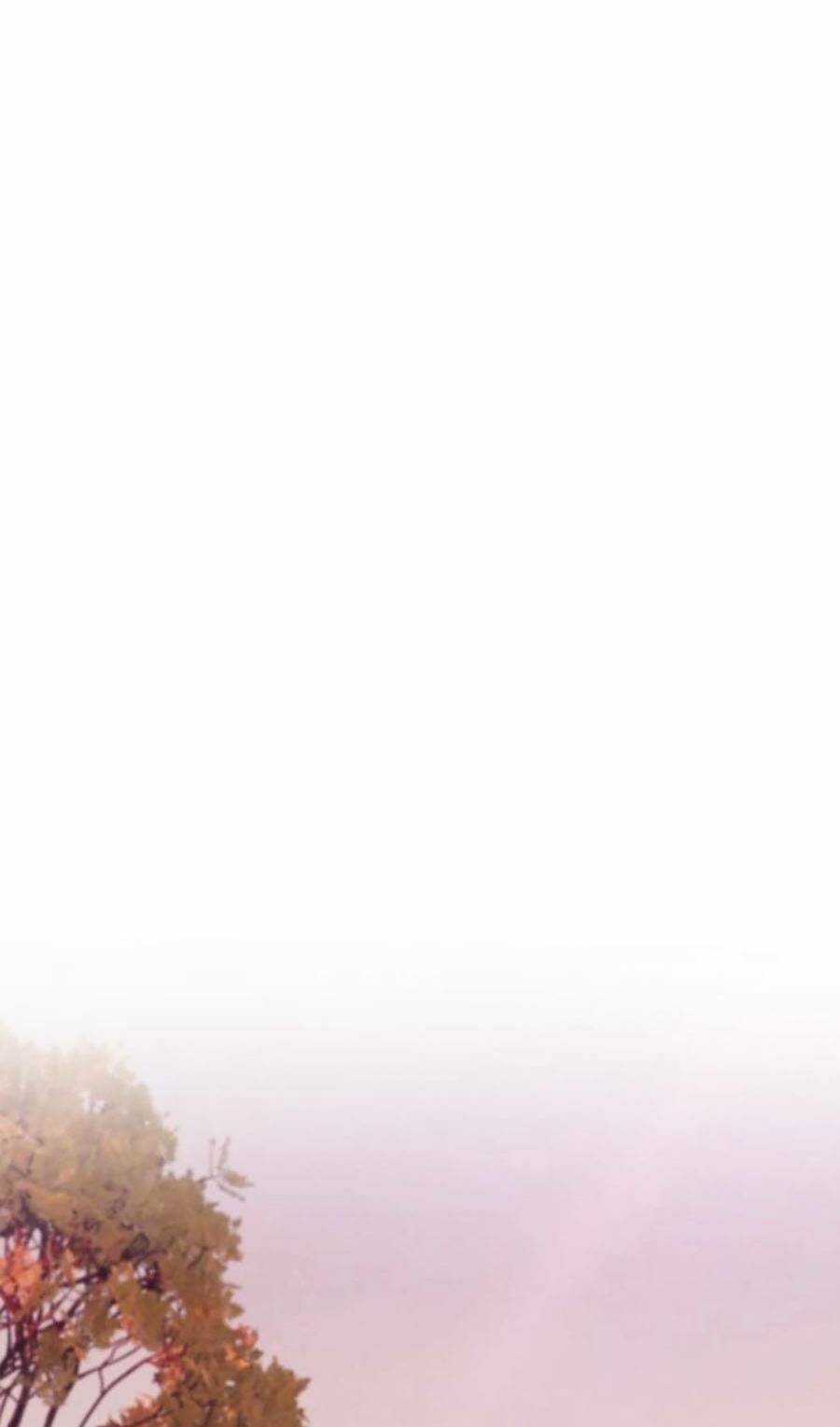 Loser Báo Thù - Chapter 20 - Trang 2