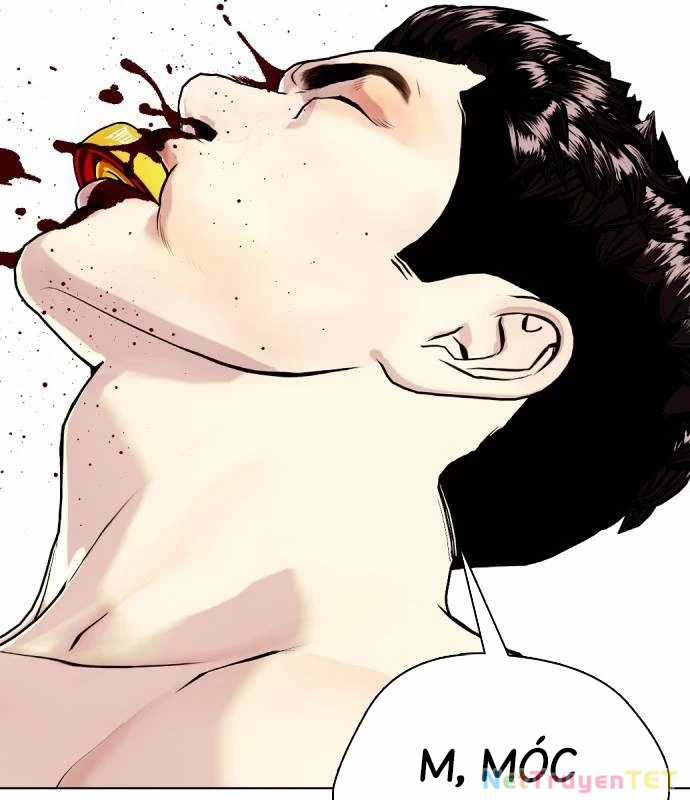 Loser Giỏi Võ - Chapter 102 - Trang 246