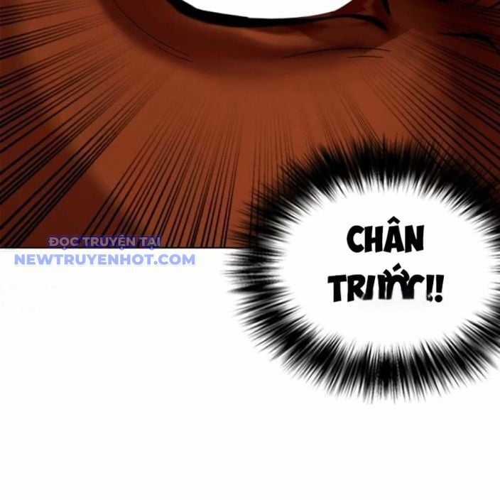 Loser Giỏi Võ - Chapter 95 - Trang 5