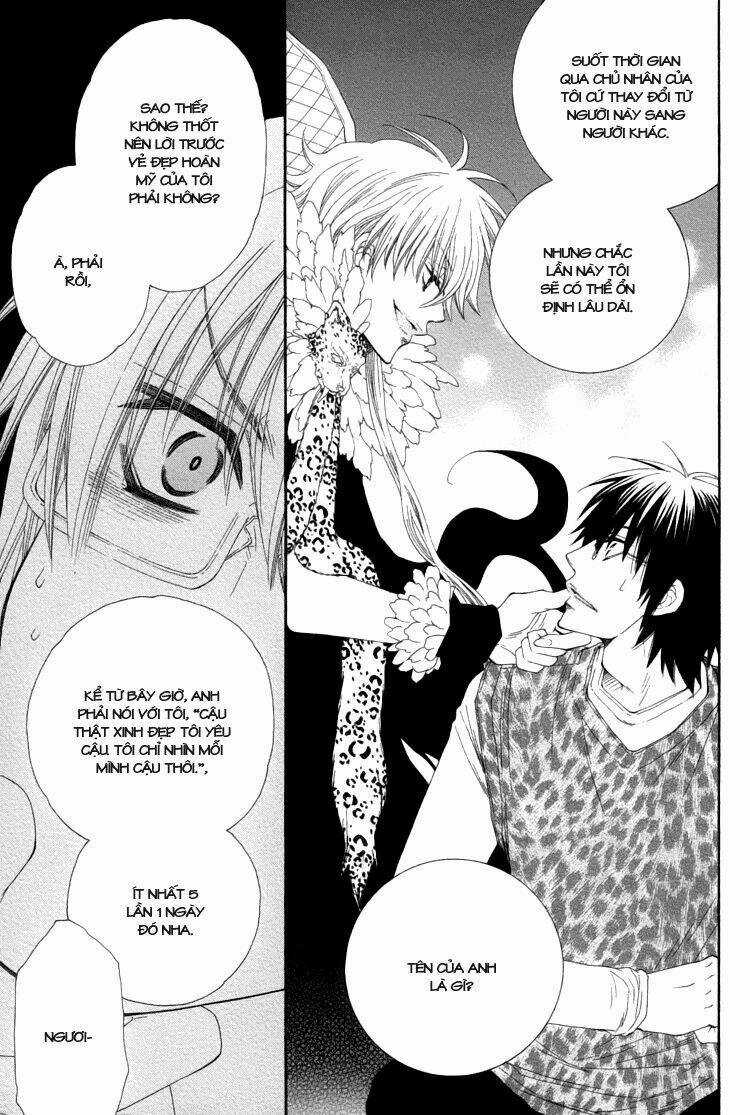 Lover S Doll - Chapter 1 - Trang 13