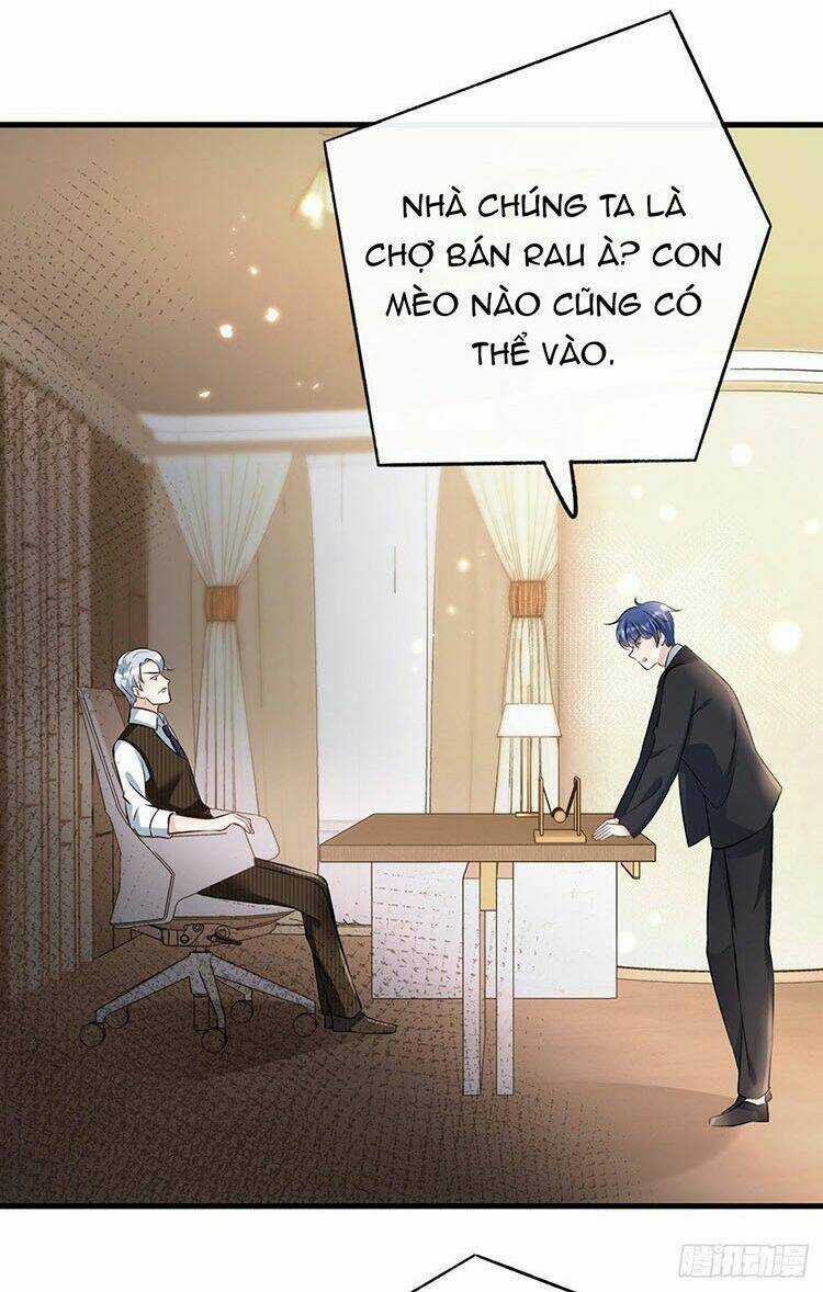 Lừa Boss Làm Bà Mai - Chapter 11 - Trang 3