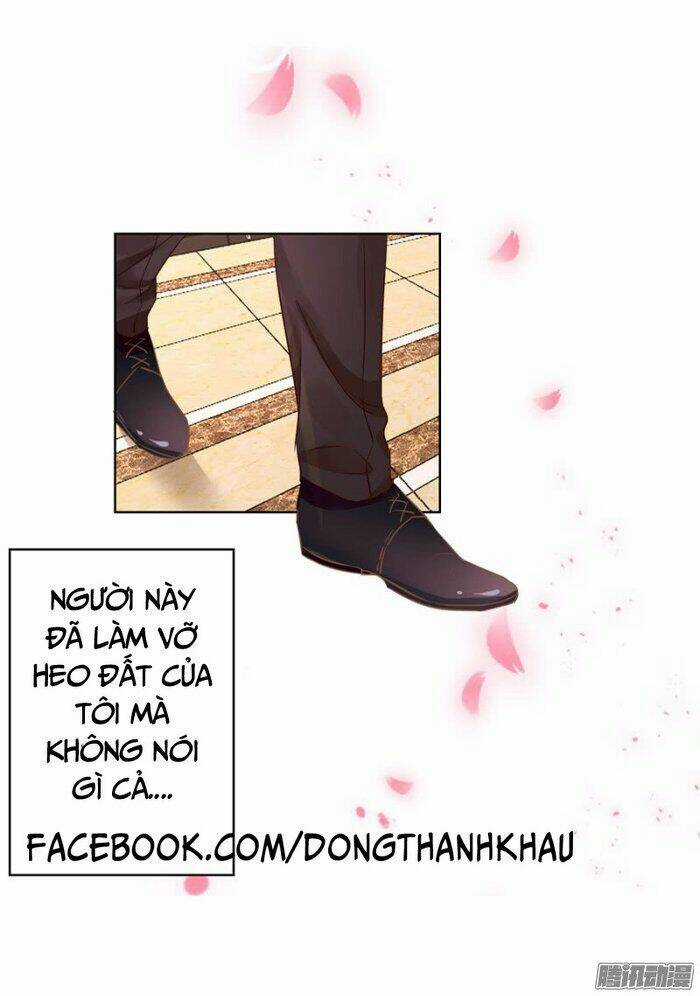 Lừa Gạt Thiếu Gia Quí Tộc Làm Bạn Trai - Chapter 3 - Trang 4