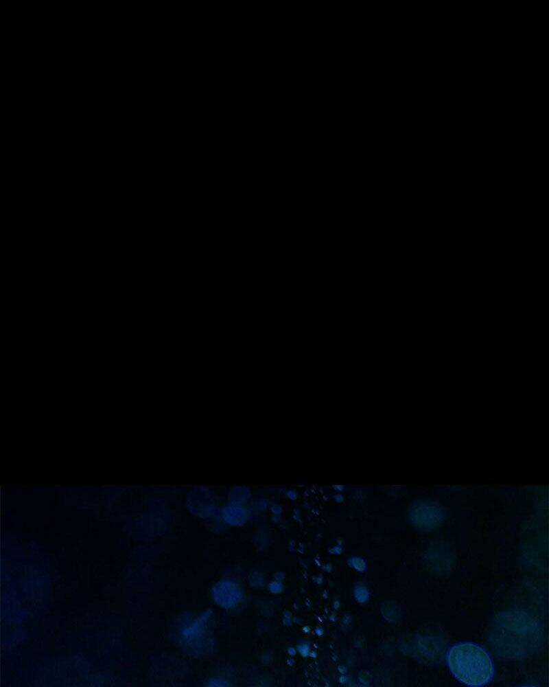 Luân Bàn Thế Giới - Chapter 105 - Trang 49