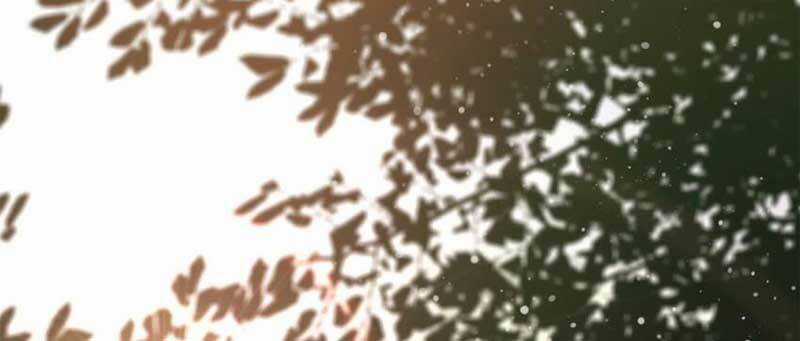 Luân Bàn Thế Giới - Chapter 151 - Trang 58