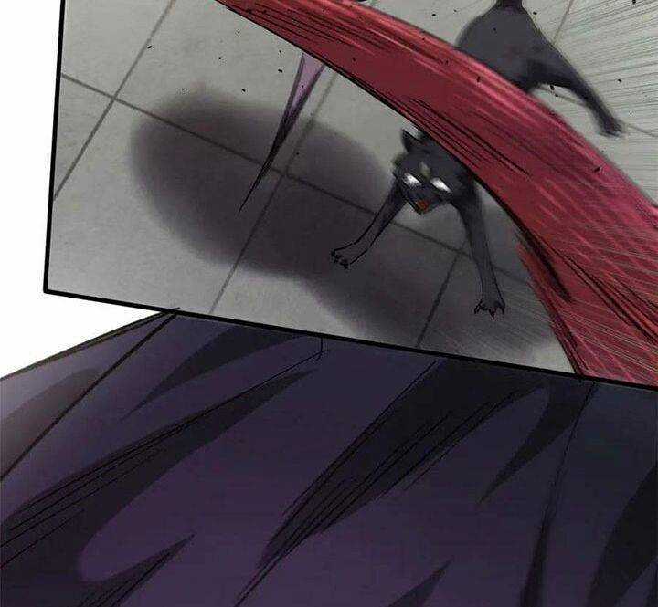 Luân Bàn Thế Giới - Chapter 162 - Trang 29