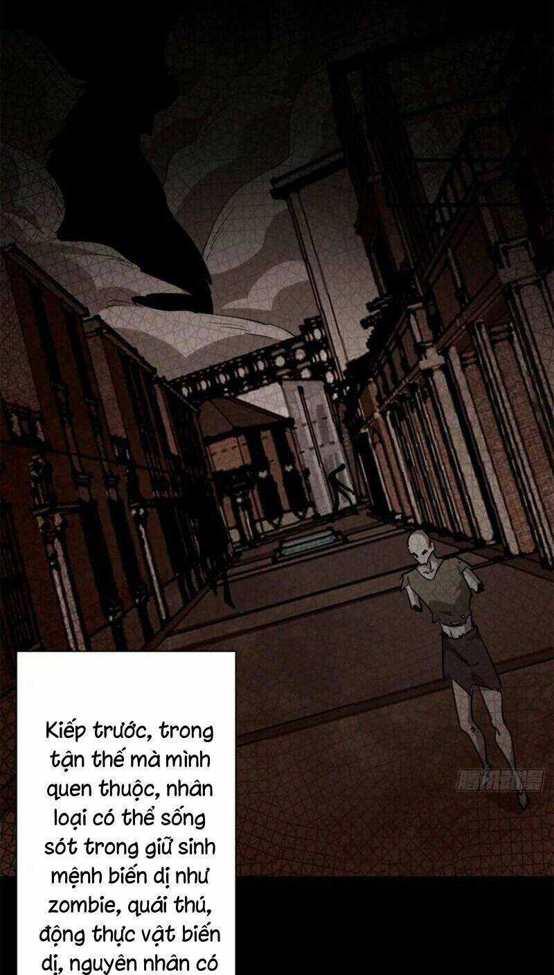 Luân Bàn Thế Giới - Chapter 80 - Trang 5