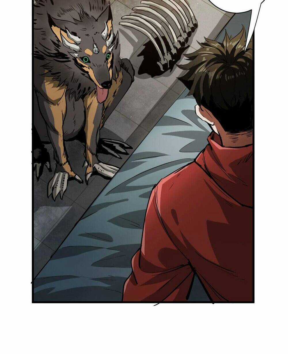 Luân Bàn Thế Giới - Chapter 85 - Trang 23