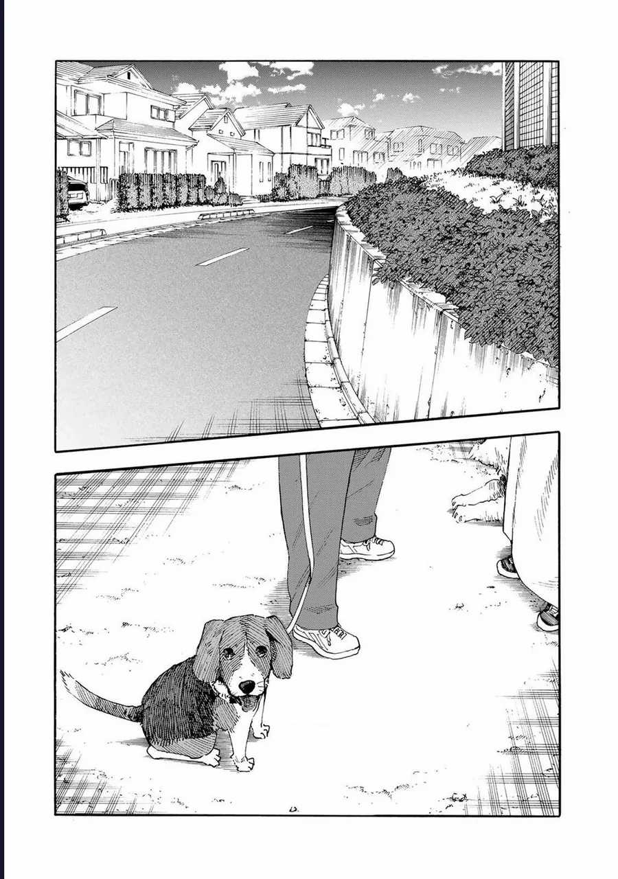 Lục Nhân Thập Tự Giá - Chapter 232 - Trang 12