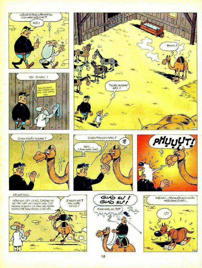 Lucky Luke - Chapter 78 - Trang 17
