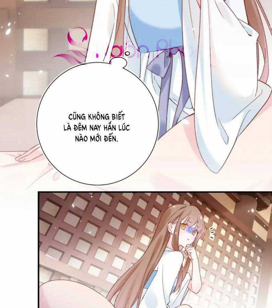 Lui Lui Lui Lui Ra! - Chapter 103 - Trang 4