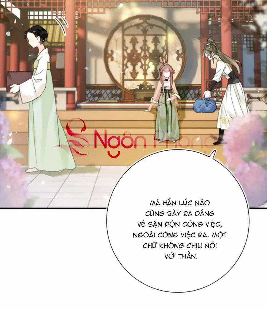 Lui Lui Lui Lui Ra! - Chapter 114 - Trang 3