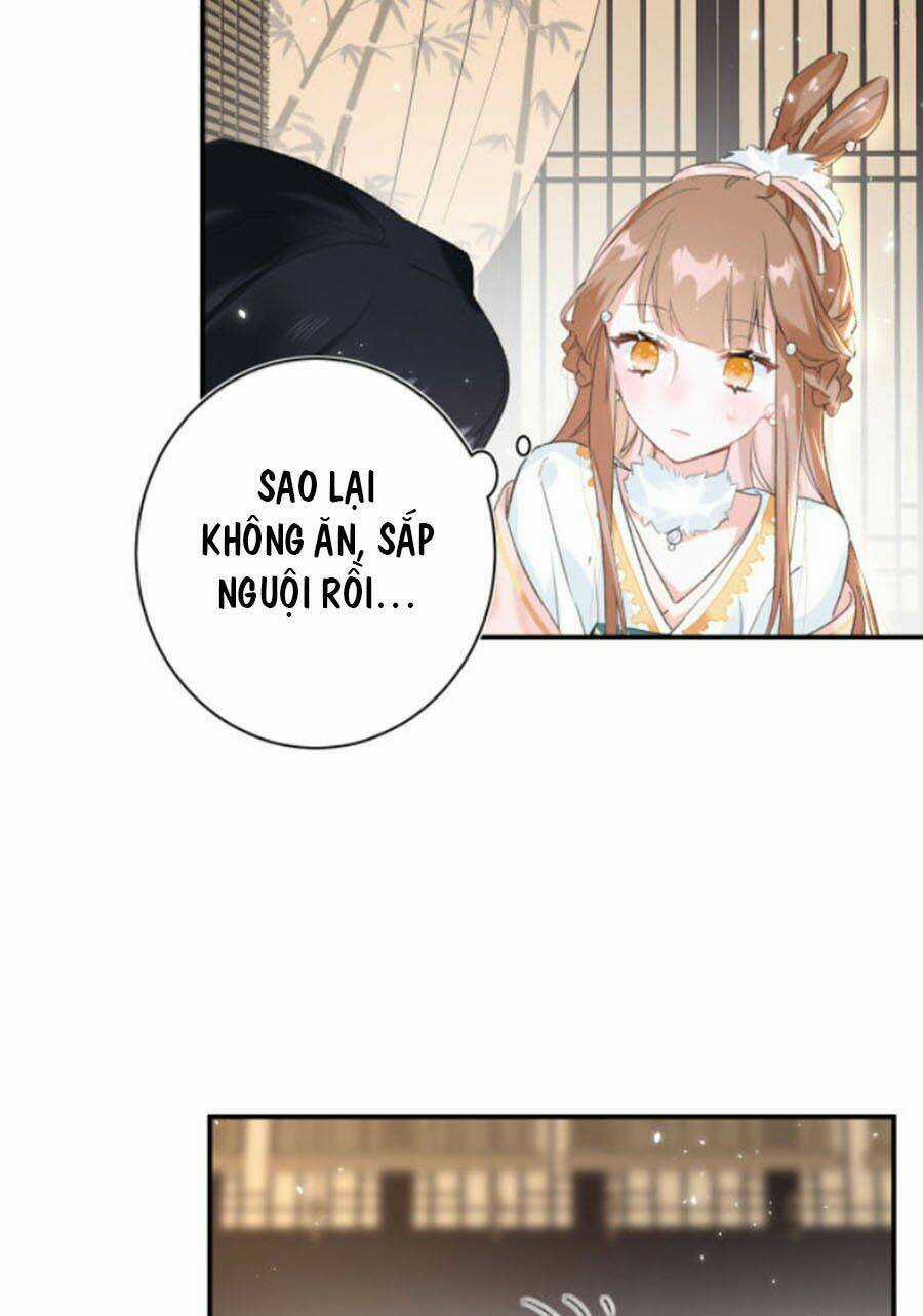 Lui Lui Lui Lui Ra! - Chapter 27 - Trang 5