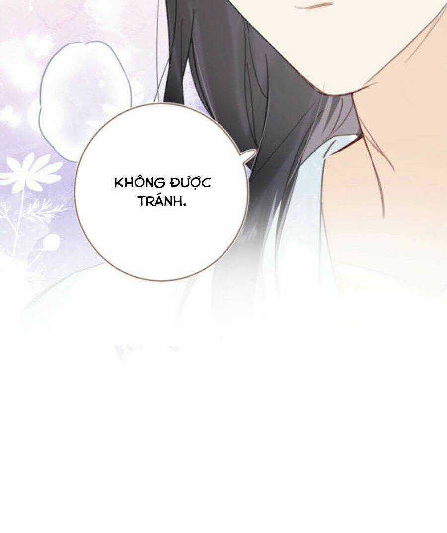 Lui Lui Lui Lui Ra! - Chapter 43 - Trang 3