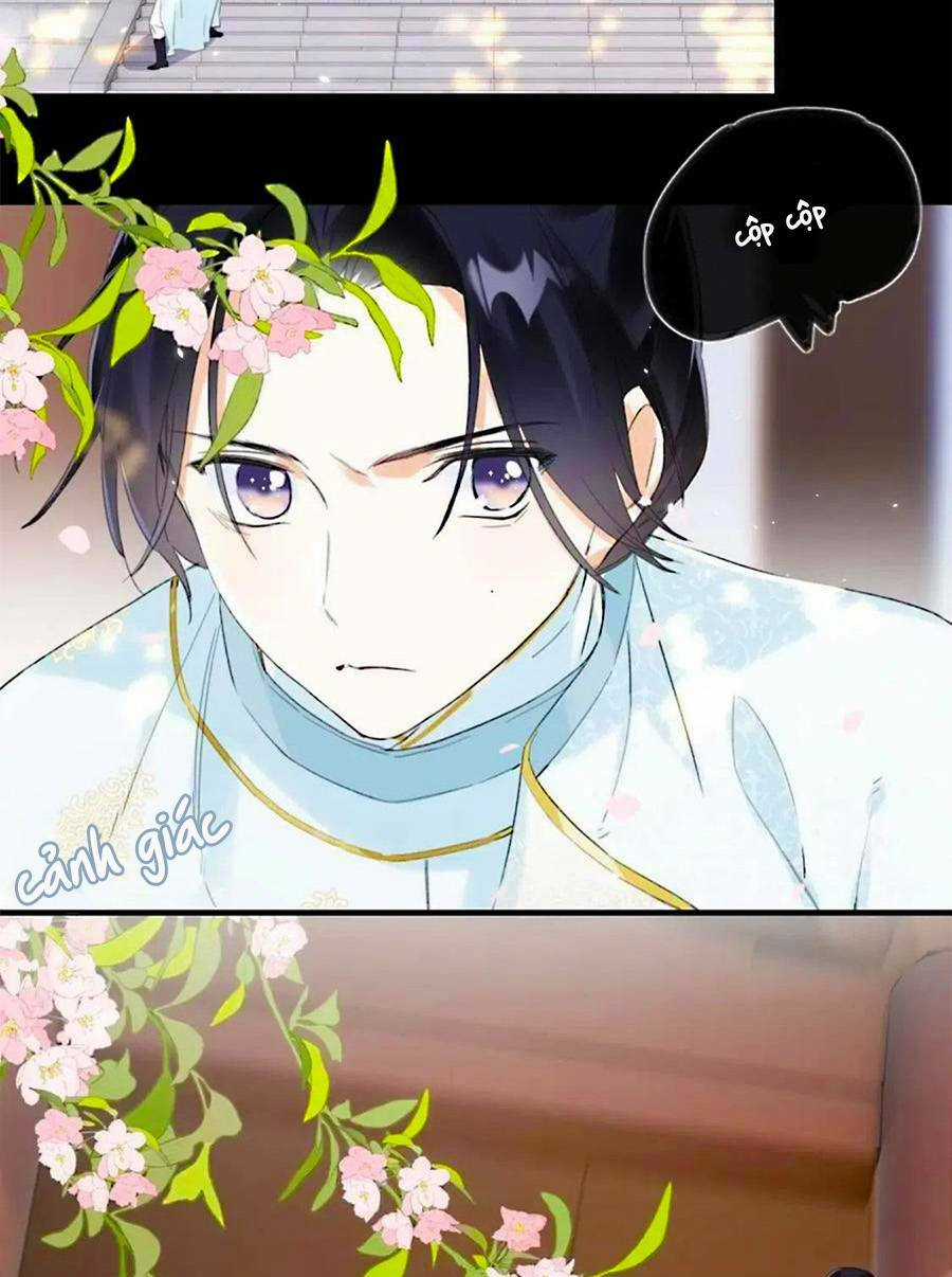 Lui Lui Lui Lui Ra! - Chapter 69 - Trang 23