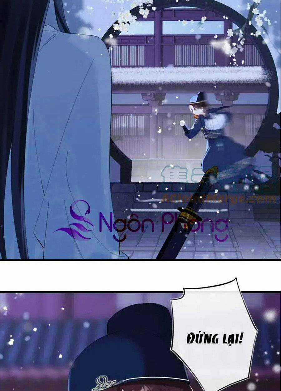 Lui Lui Lui Lui Ra! - Chapter 74 - Trang 3