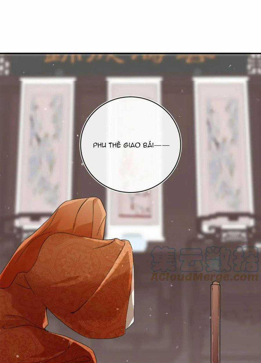 Lui Lui Lui Lui Ra! - Chapter 84 - Trang 5